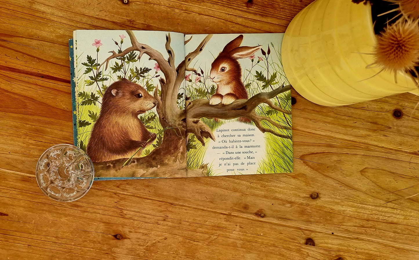 Livre " Lapinot cherche une maison "
