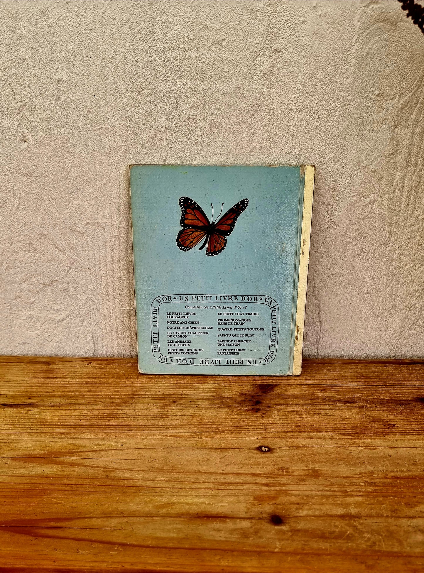 Livre " Lapinot cherche une maison "