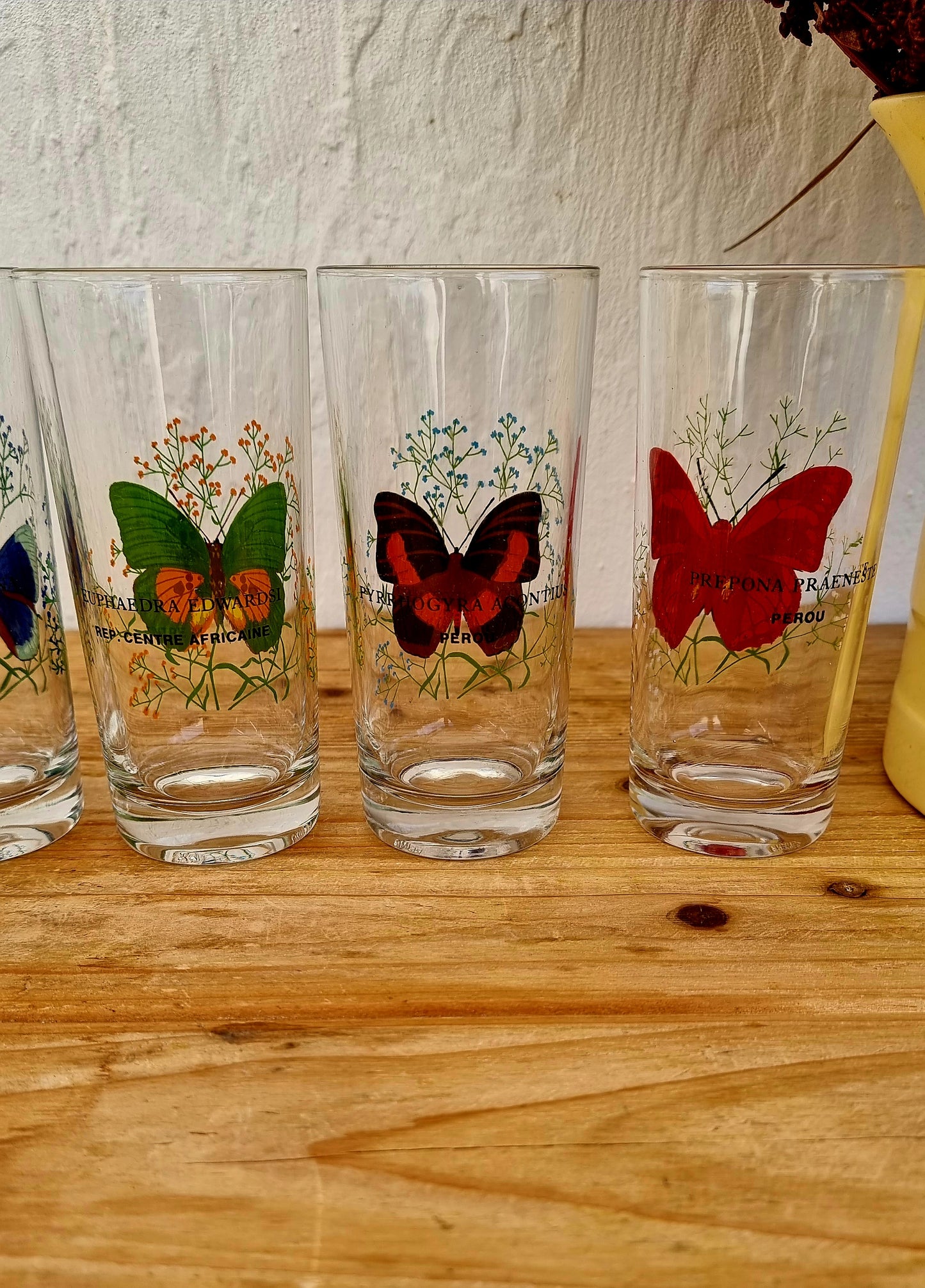 Lot de 6 verres à orangeade motif papillon vintage les kitscheries