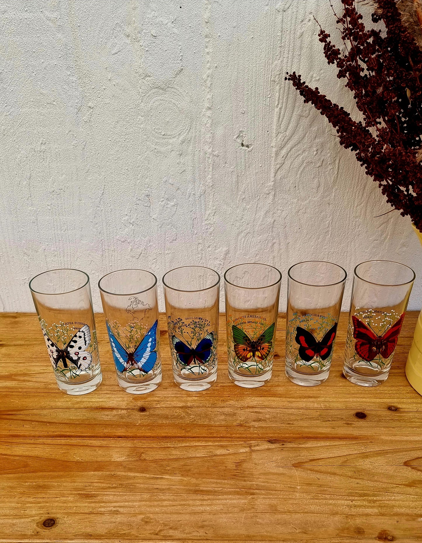 Lot de 6 verres à orangeade motif papillon vintage les kitscheries