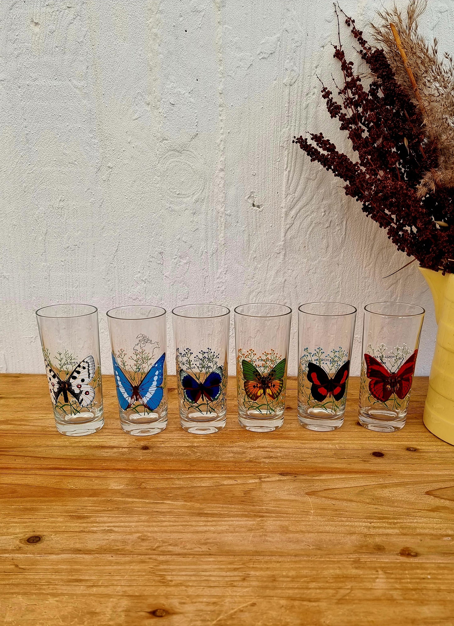 Lot de 6 verres à orangeade motif papillon vintage les kitscheries