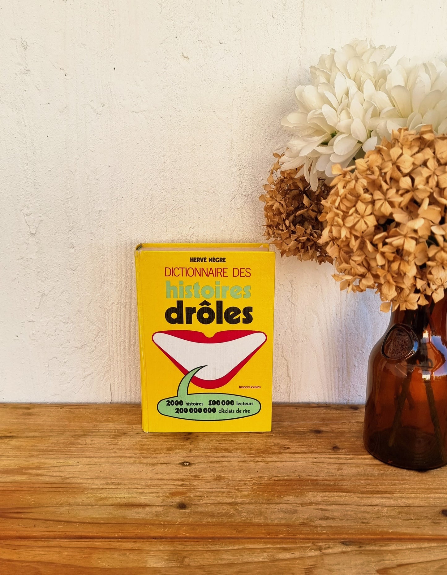 Dictionnaire des histoires drôles Hervé Nègre livre vintage