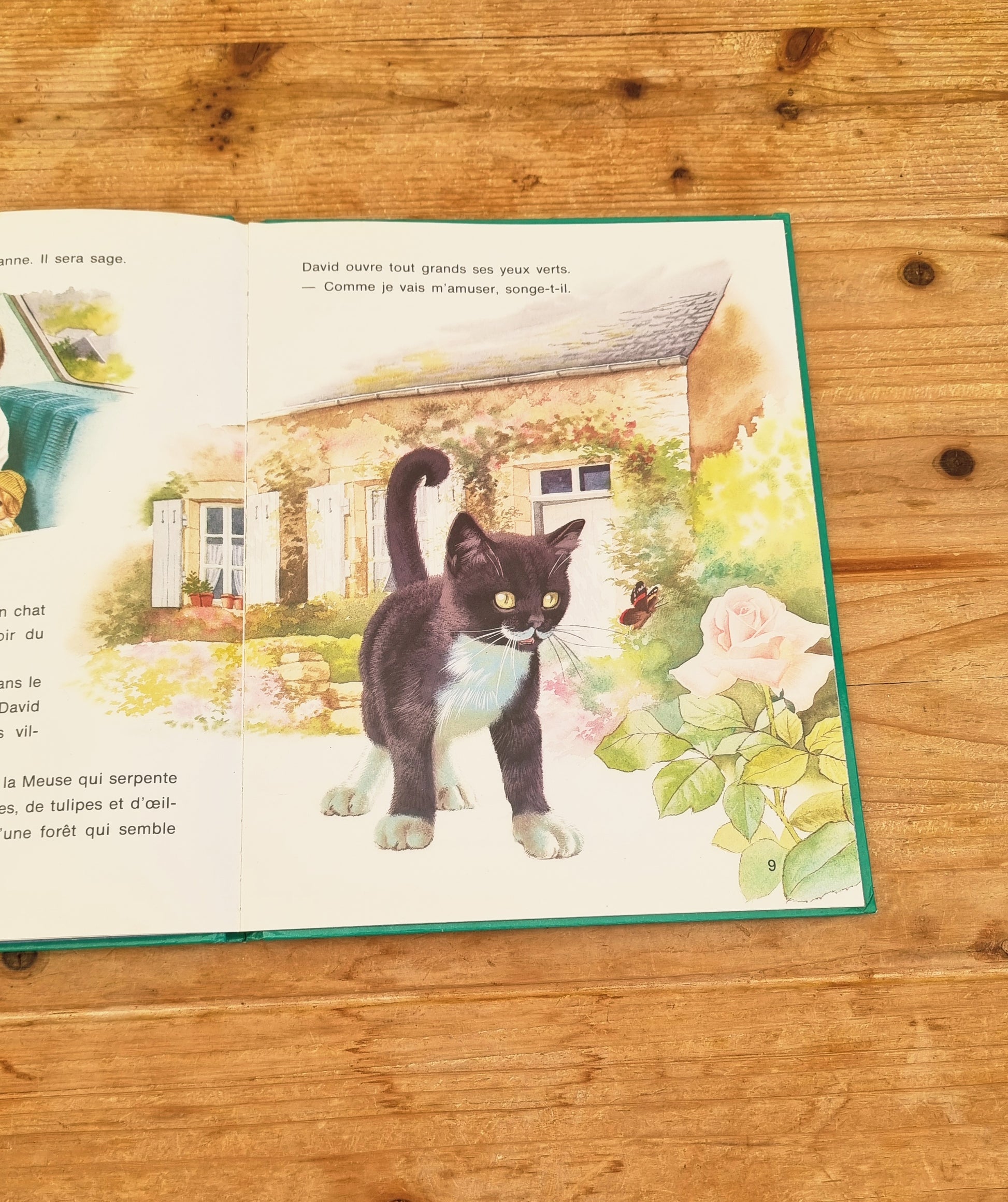 Livre enfant vintage illustré Casterman Le chat d’ici et le chat d’ailleurs couverture verte avec chat noir et chat tigré années 70
