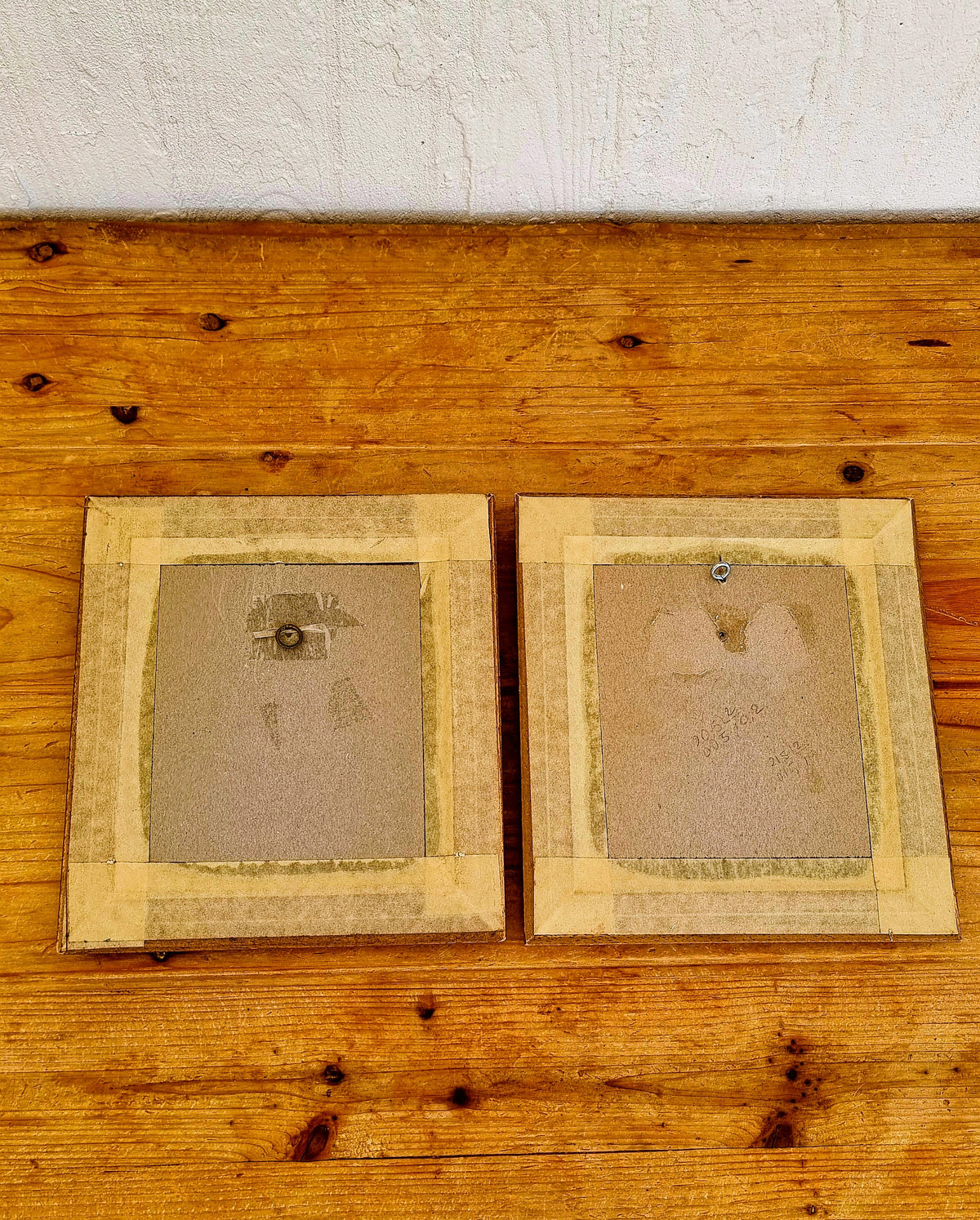 Paire de tableaux botaniques vintage avec cadres en bois fleuris