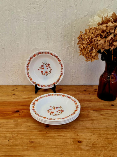 5 assiettes creuses Arcopal modèle Scania les kitscheries brocante en ligne