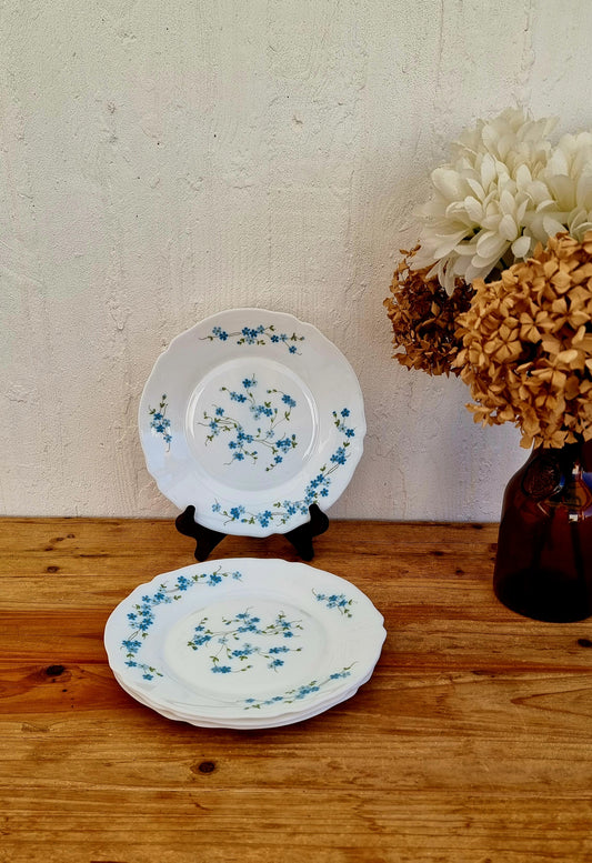 4 assiettes plates Arcopal myosotis 23 cm vaisselle vintage