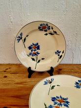 Charger l&#39;image dans la galerie, Lot de 7 assiettes plates Moulin des Loups

