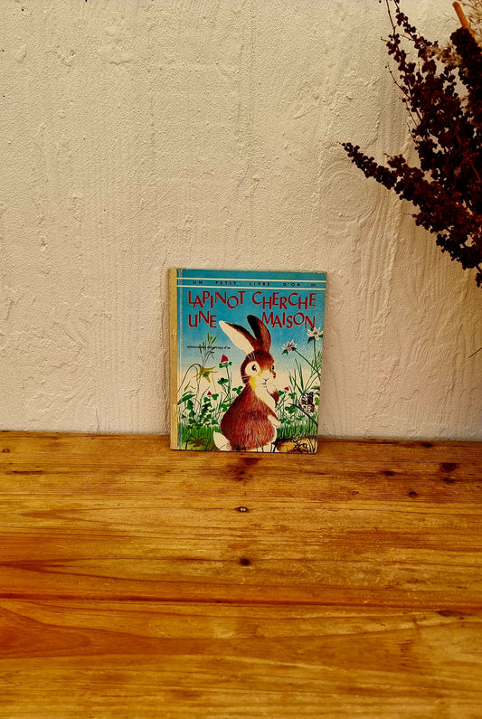 Livre " Lapinot cherche une maison "