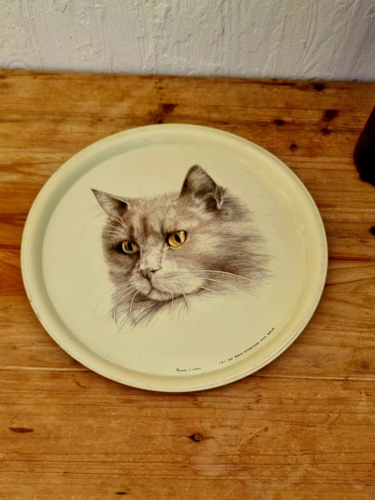 plateau décor chat Massilly France Marlex Merline 1984