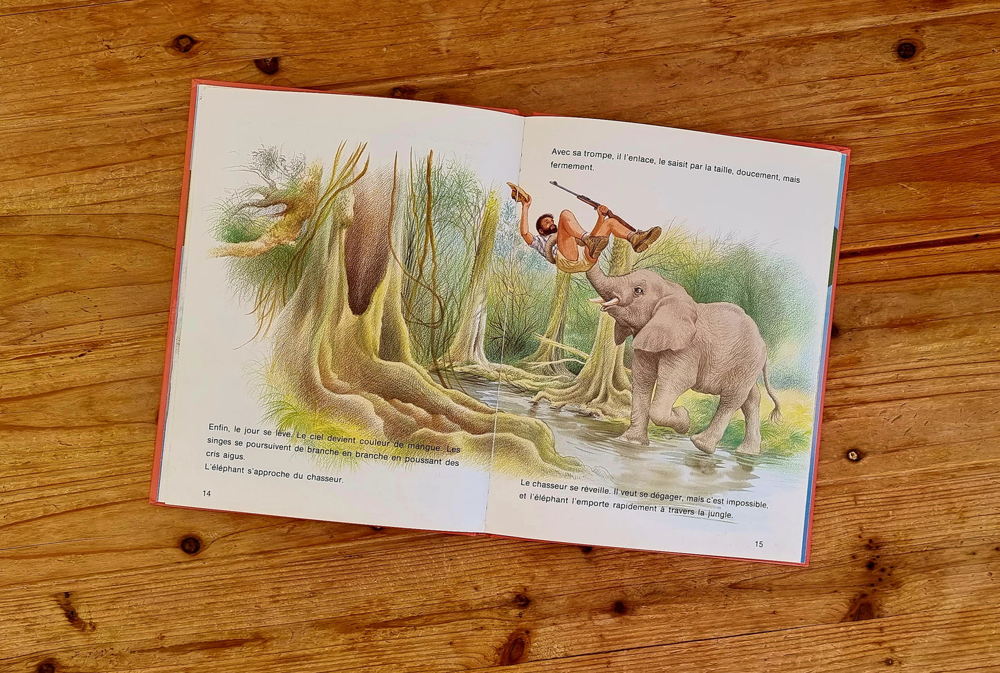 Livre " Un petit éléphant de rien du tout " Casterman les kitscheries