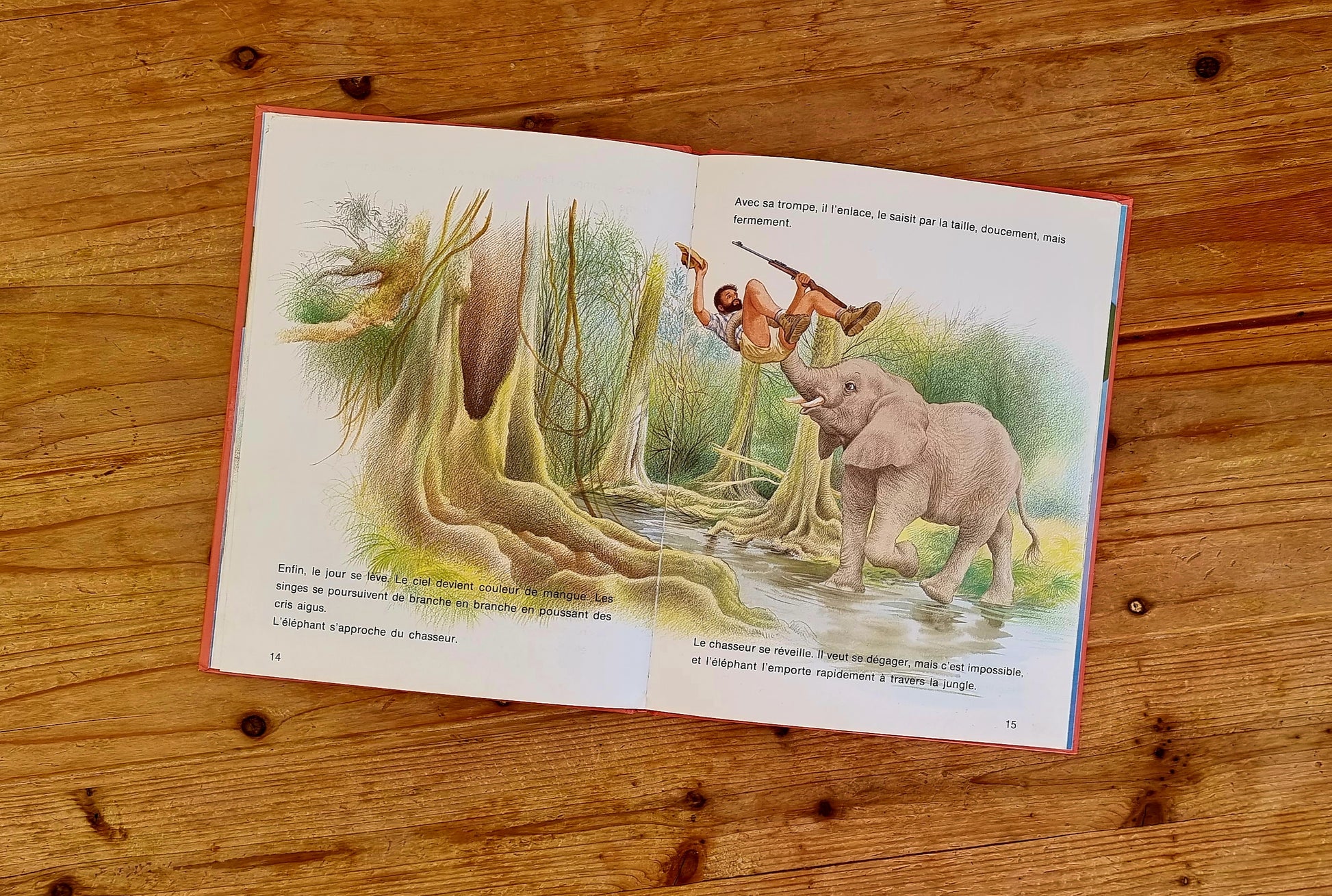 Livre " Un petit éléphant de rien du tout " Casterman les kitscheries