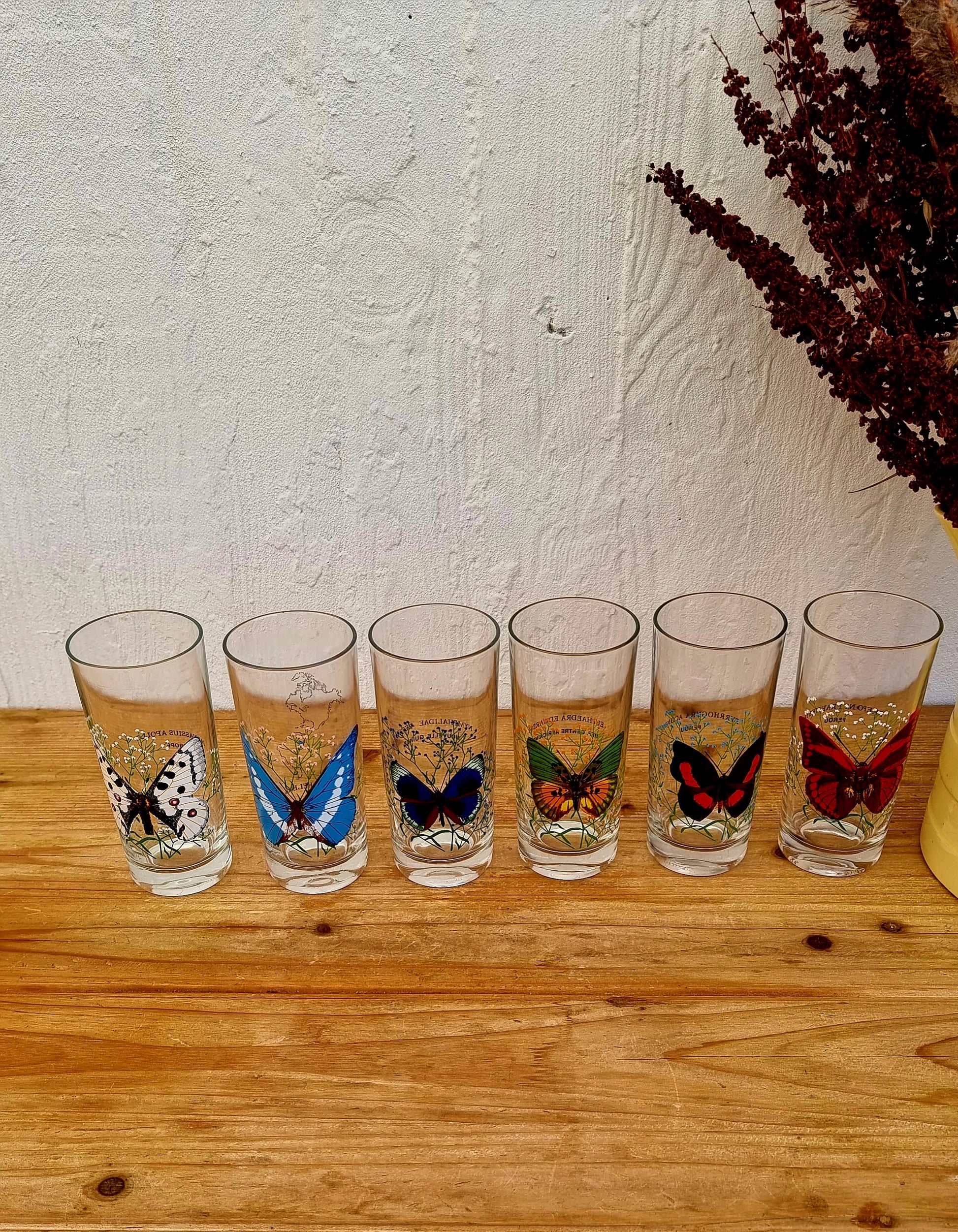 Lot de 6 verres à orangeade motif papillon vintage les kitscheries